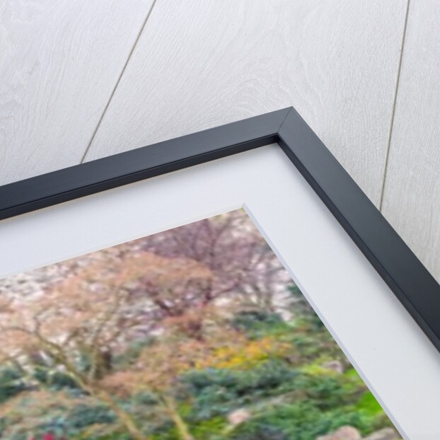 Kyoto Garden, London by Assaf Frank